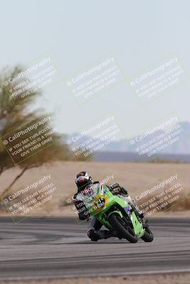 media/Nov-30-2025-TrackXperience (Sun) [[c0061d280f]]/2-Level 2/Session 6 Turn 4 Tree of Life/